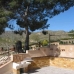 Jumilla property: Jumilla House, Spain 99108