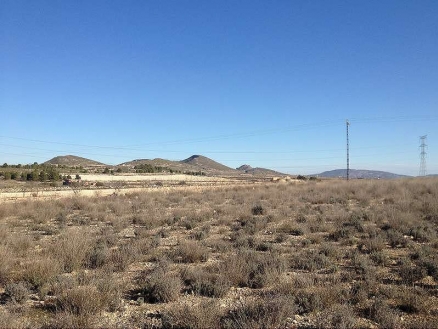 Land for sale in town 99110