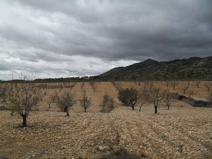 Pinoso property: Land for sale in Pinoso, Spain 99140