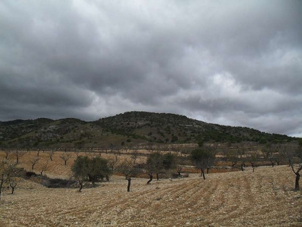 Pinoso property: Land with bedroom in Pinoso 99140