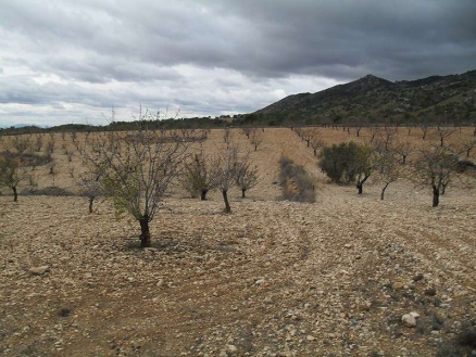 Pinoso property: Land with bedroom in Pinoso, Spain 99140