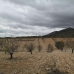 Pinoso property: Pinoso, Spain Land 99140