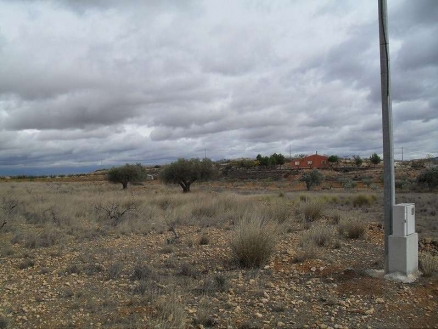 Land for sale in town 99142