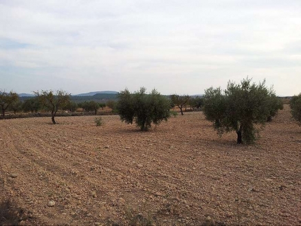 Pinoso property: Land with bedroom in Pinoso 99151