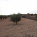 Pinoso property: Pinoso, Spain Land 99151