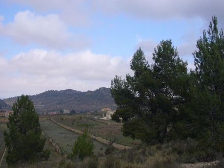 Pinoso property: Land for sale in Pinoso 99245