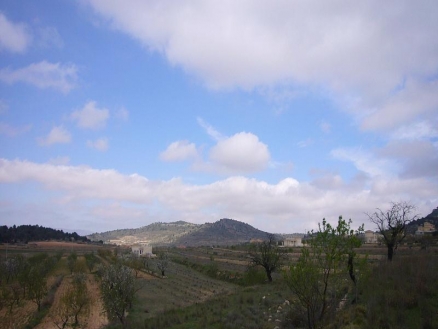 Pinoso property: Land with bedroom in Pinoso 99245