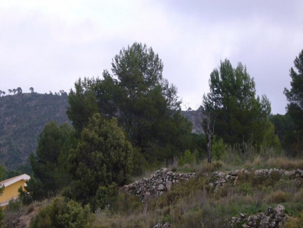 Pinoso property: Land in Alicante for sale 99245