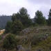 Pinoso property: Land in Pinoso 99245