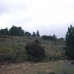 Pinoso property: Beautiful Land for sale in Pinoso 99245