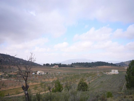 Pinoso property: Land for sale in Pinoso, Spain 99246