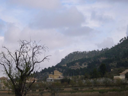 Pinoso property: Land with bedroom in Pinoso, Spain 99246