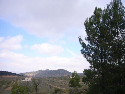 Pinoso property: Land for sale in Pinoso, Alicante 99246