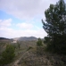 Pinoso property:  Land in Alicante 99246