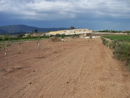 Pinoso property: Land for sale in Pinoso, Spain 99357