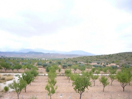 Pinoso property: Alicante Land 99395