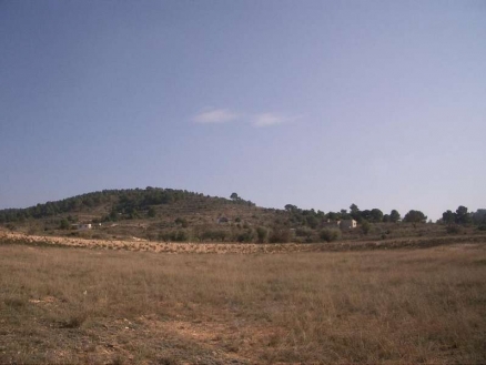 Pinoso property: Land for sale in Pinoso, Spain 99422