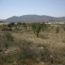 La Romana property: Alicante, Spain Land 99484