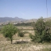 La Romana property: La Romana, Spain Land 99484