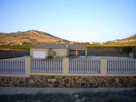 Pinoso property: Villa for sale in Pinoso, Spain 99487