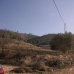 Pinoso property: Land in Pinoso 99491