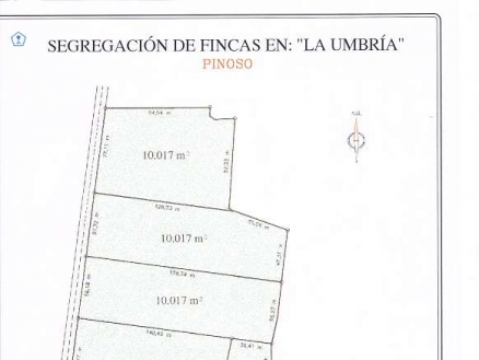 Pinoso property: Land for sale in Pinoso 99492