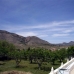 Hondon de las Nieves property:  Villa in Alicante 99524