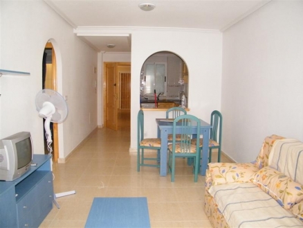  2 bedroom Apartment 99534