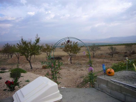 Yecla property: Land for sale in Yecla, Spain 99563