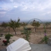 Yecla property: Yecla, Spain Land 99563