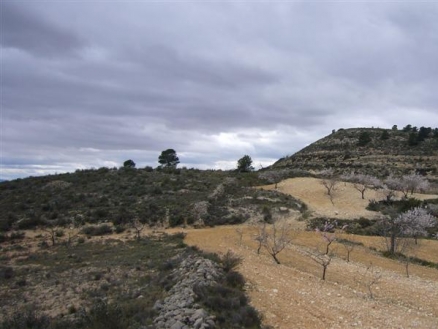 Pinoso property: Alicante property | bedroom Land 99572