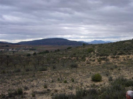 Pinoso property: Pinoso, Spain | Land for sale 99572