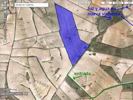 Jumilla property: Land for sale in Jumilla 99575