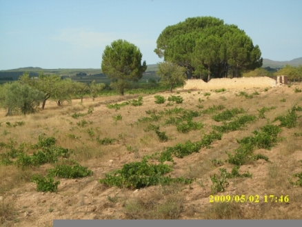 Villena property: Alicante property | bedroom Land 99584