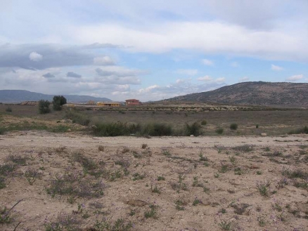 Pinoso property: Land for sale in Pinoso, Alicante 99585