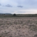 Pinoso property: Pinoso, Spain Land 99585