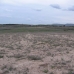 Pinoso property: Land in Pinoso 99585