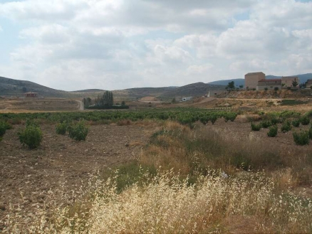 Jumilla property: Land for sale in Jumilla, Spain 99621