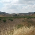 Jumilla property: Jumilla, Spain Land 99621