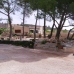 Jumilla property: Murcia House, Spain 99623