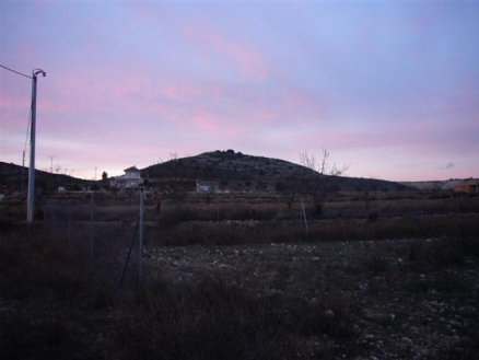 Jumilla property: Land for sale in Jumilla, Murcia 99629