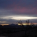 Jumilla property: Jumilla Land, Spain 99629