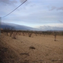 Pinoso property: Land for sale in Pinoso 99639