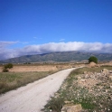 Pinoso property: Land for sale in Pinoso 99644