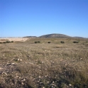 Jumilla property: Land for sale in Jumilla 99652