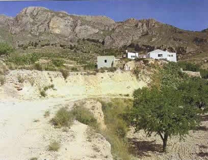 Fortuna property: Land for sale in Fortuna, Spain 99657