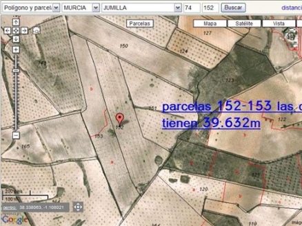 Jumilla property: Land for sale in Jumilla 99661