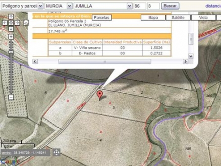 Jumilla property: Land for sale in Jumilla, Spain 99665