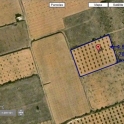 Yecla property: Land for sale in Yecla 99677