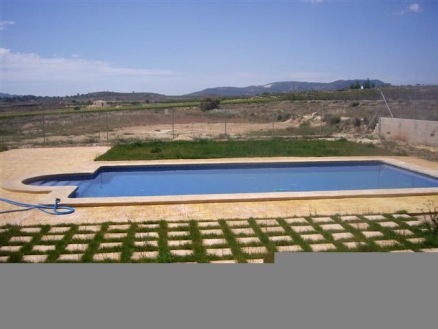 Pinoso property: Villa for sale in Pinoso, Alicante 99698